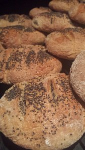 20150124_170749_resized