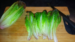 20160206_165328_resized_1