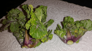 20160412_195033_resized